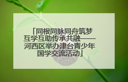 同根同脉同舟筑梦 互学互助传承共融——河西区举办津台青少年国学交流活动