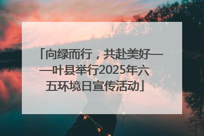 向绿而行，共赴美好——叶县举行2025年六五环境日宣传活动
