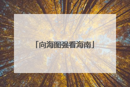 向海图强看海南