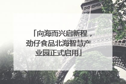 向海而兴启新程，劲仔食品北海智慧产业园正式启用
