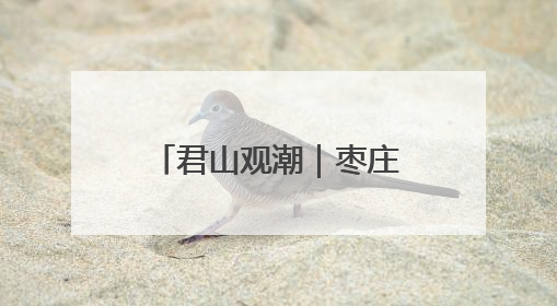 君山观潮｜枣庄绿迹 一座资源型城市的生态觉醒