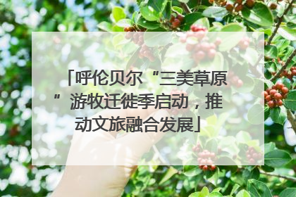 呼伦贝尔“三美草原”游牧迁徙季启动，推动文旅融合发展