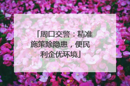 周口交警：精准施策除隐患，便民利企优环境