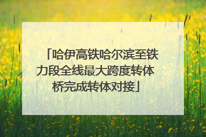 哈伊高铁哈尔滨至铁力段全线最大跨度转体桥完成转体对接