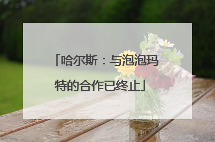 哈尔斯：与泡泡玛特的合作已终止