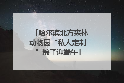 哈尔滨北方森林动物园“私人定制”粽子迎端午
