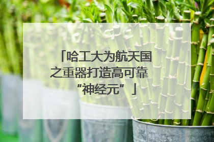 哈工大为航天国之重器打造高可靠“神经元”