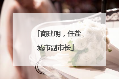 商建明，任盐城市副市长