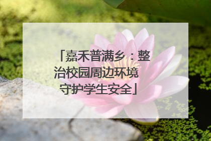 嘉禾普满乡：整治校园周边环境 守护学生安全