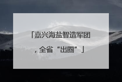 嘉兴海盐智造军团，全省“出圈”