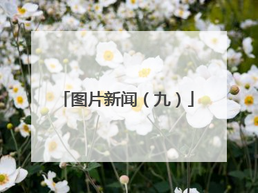 图片新闻（九）