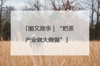 图文故事｜“把茶产业做大做强”