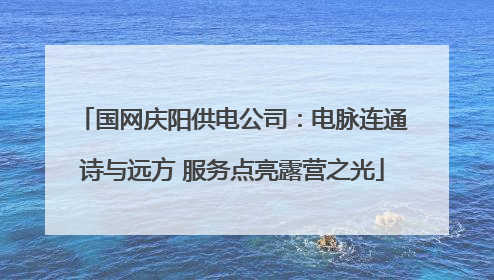 国网庆阳供电公司：电脉连通诗与远方 服务点亮露营之光