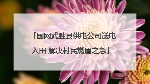 国网武胜县供电公司送电入田 解决村民燃眉之急