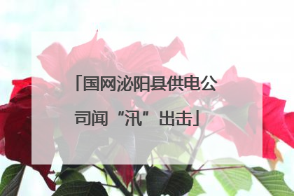 国网泌阳县供电公司闻“汛”出击