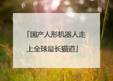 国产人形机器人走上全球最长猫道