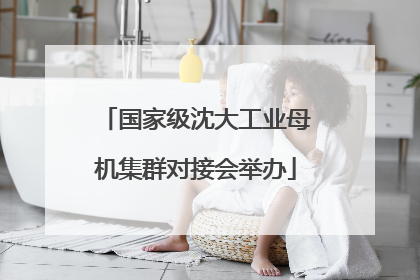 国家级沈大工业母机集群对接会举办