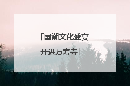 国潮文化盛宴开进万寿寺