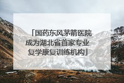 国药东风茅箭医院成为湖北省首家专业复学康复训练机构