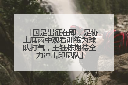 国足出征在即，足协主席雨中观看训练为球队打气，王钰栋期待全力冲击印尼队