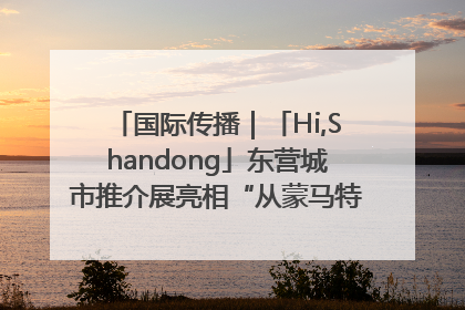 国际传播｜「Hi,Shandong」东营城市推介展亮相“从蒙马特到加里波第”文化节