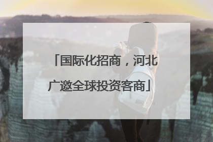 国际化招商，河北广邀全球投资客商