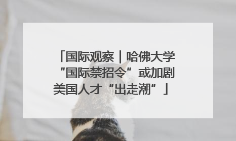 国际观察｜哈佛大学“国际禁招令”或加剧美国人才“出走潮”