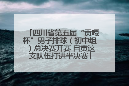 四川省第五届“贡嘎杯”男子排球（初中组）总决赛开赛 自贡这支队伍打进半决赛