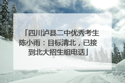 四川泸县二中优秀考生陈小雨：目标清北，已接到北大招生组电话