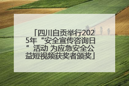 四川自贡举行2025年“安全宣传咨询日”活动 为应急安全公益短视频获奖者颁奖