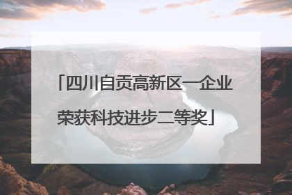 四川自贡高新区一企业荣获科技进步二等奖