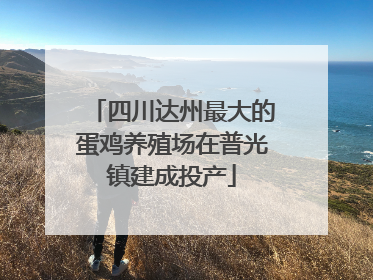 四川达州最大的蛋鸡养殖场在普光镇建成投产