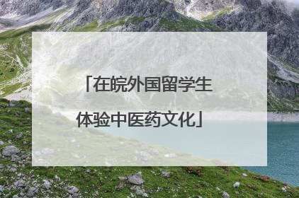 在皖外国留学生体验中医药文化