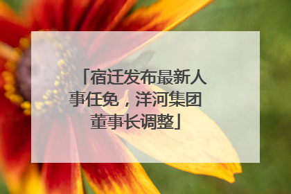 宿迁发布最新人事任免，洋河集团董事长调整