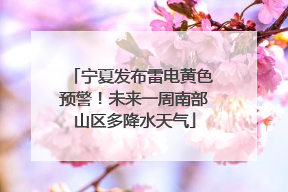 宁夏发布雷电黄色预警！未来一周南部山区多降水天气