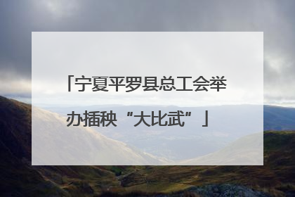 宁夏平罗县总工会举办插秧“大比武”