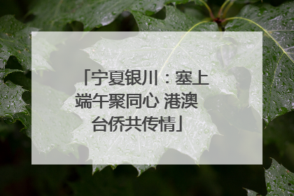 宁夏银川：塞上端午聚同心 港澳台侨共传情
