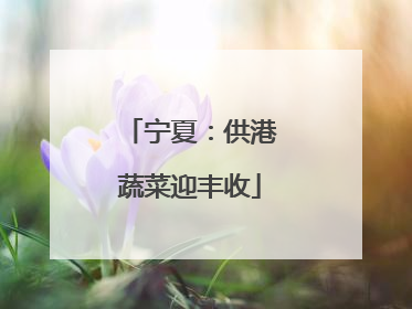 宁夏：供港蔬菜迎丰收