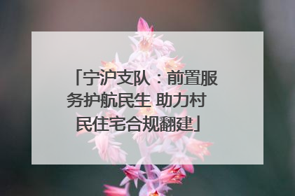 宁沪支队：前置服务护航民生 助力村民住宅合规翻建