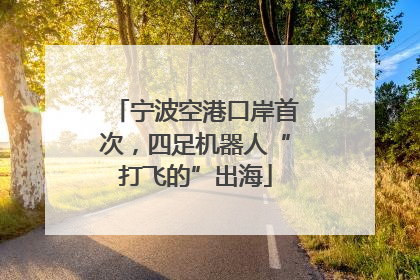 宁波空港口岸首次，四足机器人“打飞的”出海