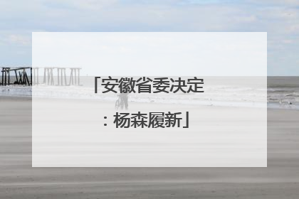 安徽省委决定：杨森履新