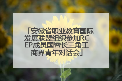 安徽省职业教育国际发展联盟组织参加RCEP成员国暨长三角工商界青年对话会