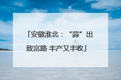 安徽淮北：“蒜”出致富路 丰产又丰收