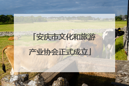 安庆市文化和旅游产业协会正式成立
