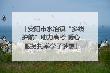 安阳市水冶镇“多线护航”助力高考 暖心服务托举学子梦想
