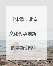 宋歌：北京文化传承创新的革新引擎
