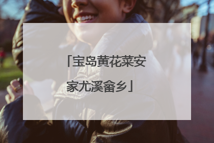 宝岛黄花菜安家尤溪畲乡