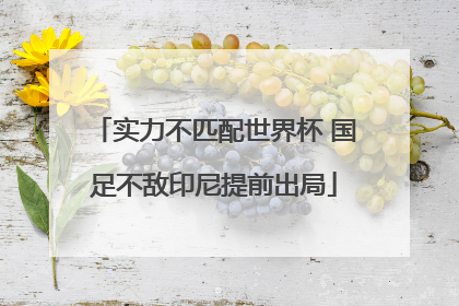 实力不匹配世界杯 国足不敌印尼提前出局