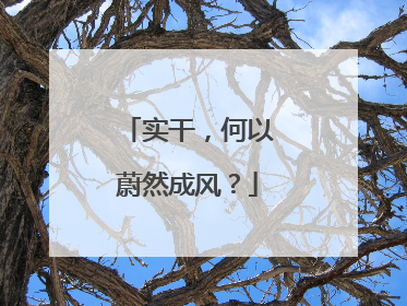 实干，何以蔚然成风？