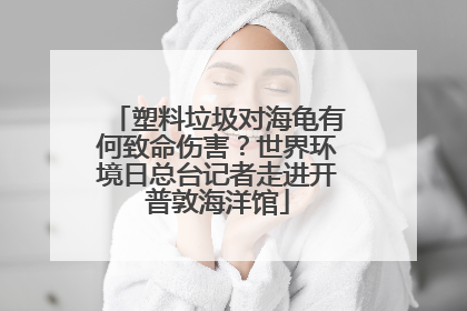塑料垃圾对海龟有何致命伤害？世界环境日总台记者走进开普敦海洋馆